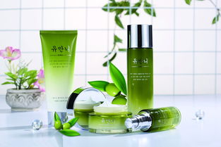 進(jìn)口化妝品 配方合規(guī)、專業(yè)物流與清關(guān)流程全解析